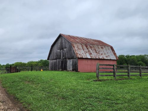 Lewis Auction
